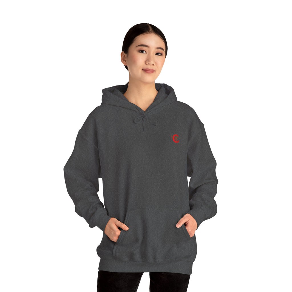 CLOTHRA Lost My Cool Wolf Graphic Hoodie | Premium heavyweight Pullover